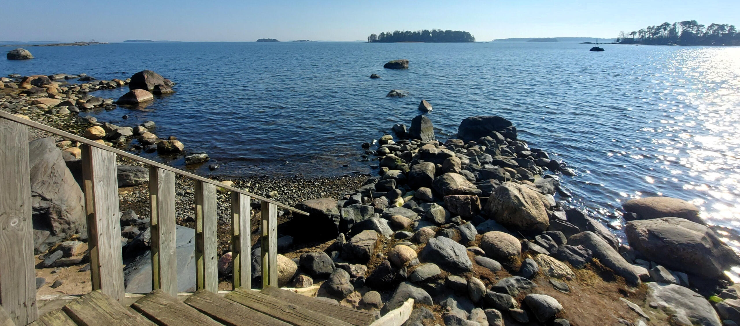 Psykoterapia puu Puu